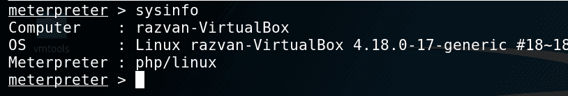 Metasploit module preview exploitation