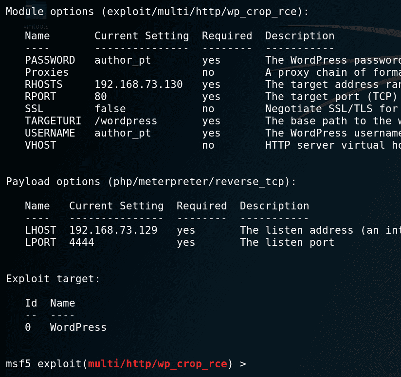 Metasploit module setup stage